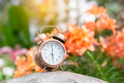 Orari, telefono, email - Vivai Il pollice Verde, Asti