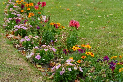 Le piante ornamentali sono quelle che rendono un giardino vivo - Vivai Il pollice Verde, Asti