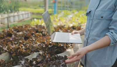 Email - Vivai Il pollice Verde, Asti