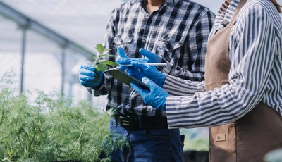 A volte non serve un progetto completo, basta un parere onesto - Vivai Il pollice Verde, Asti